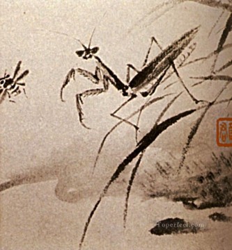 中国 Painting - 下尾昆虫学マンテ 1707 繁体字中国語